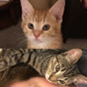 Meet your Posher, Kristen